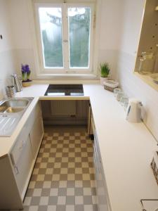 eine Küche mit einem Waschbecken und einem Fenster in der Unterkunft Ferienwohnung am Schloss in Karlsruhe