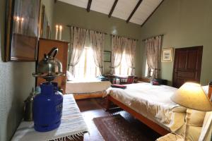 Paardeplaats Nature Retreat في Rhenosterhoek: غرفة نوم بسرير ونافذة كبيرة