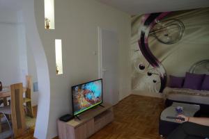 Apartman Aleksandar tesisinde bir televizyon ve/veya eğlence merkezi