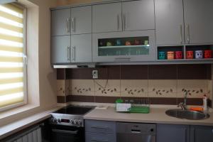 Apartman Aleksandar tesisinde mutfak veya mini mutfak