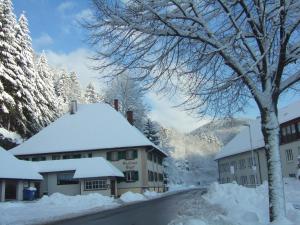 Haus Barnabas im Engel, Gasthaus Engel að vetri til