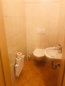 Koupelna v ubytování Apartment Sonnblick