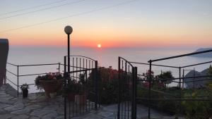 a view of the sunset from a garden with flowers at Albergo Luna di Marzo in Volastra