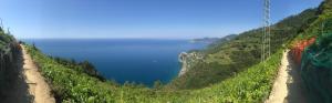 a view of the ocean from the side of a cliff at Albergo Luna di Marzo in Volastra