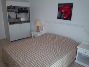 Ένα ή περισσότερα κρεβάτια σε δωμάτιο στο Milos Apartments 
