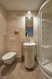 uma casa de banho com um WC, um lavatório e um chuveiro em Haus Bor em Zermatt