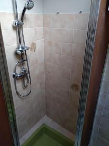 a shower with a shower head and a glass door at Gîte à la Ville in Rostrenen