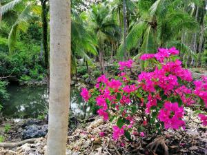 Un mazzo di fiori rosa vicino a un palo di Andnindot garden resort ad Anda
