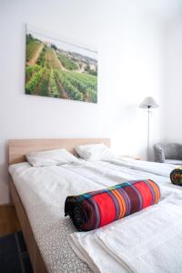 ブダペストにあるRégiposta street 2 - City centerのベッドルーム1室(白いベッド1台、赤と黒の毛布付)