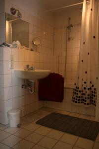 a bathroom with a sink and a shower and a toilet at Ferienwohnung BELVEDERE in Rust