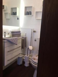 La petite salle de bains est pourvue de toilettes et d'un lavabo. dans l'établissement FeWo Piper, à Grömitz