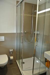 ein Bad mit einer Dusche und einem WC in der Unterkunft Gasthaus Tübli Gersau in Gersau