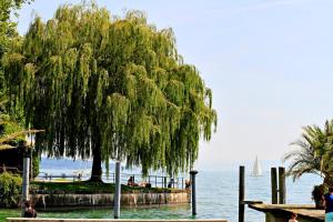 Imagen de la galería de Hotel Zum Römer, en Überlingen