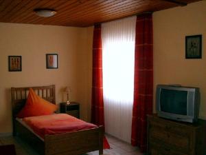 a bedroom with a bed and a tv and a window at Hotel Restaurant Zur Hexe in Überherrn