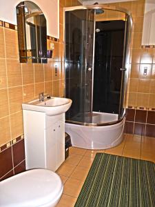 a bathroom with a shower and a sink and a toilet at Noclegi u Agatki in Ustrzyki Dolne +7 photos