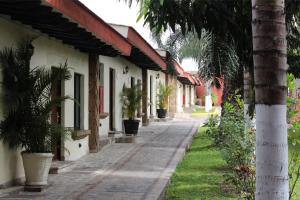 瓜達拉哈拉的住宿－波薩達韋叡酒店，一条棕榈树环绕的街道