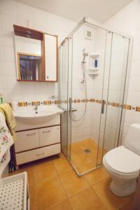 ein Bad mit einer Dusche, einem WC und einem Waschbecken in der Unterkunft Jūrena in Nida