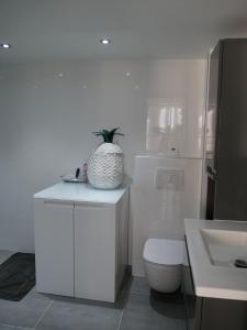 Ένα μπάνιο στο LOFT chic et moderne, déco industrielle +30 φωτογραφίες