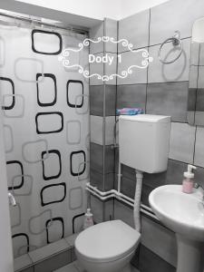 a bathroom with a white toilet and a sink at Dody Apartmani in Leskovac