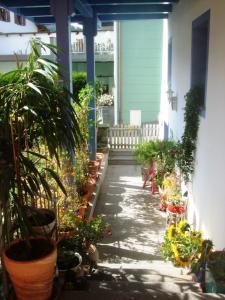 a patio with potted plants on a house at Ferienwohnung Örtl 7 in Obernzell