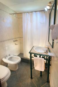 y baño con aseo, lavabo y ducha. en Cabañas y Lofts El Portal en Villa General Belgrano