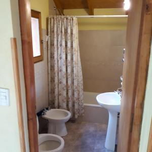 a bathroom with two toilets and a sink at Cabañas Bahia Radal in Villa Pehuenia +59 photos