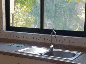 ein Waschbecken in einer Küche mit Fenster in der Unterkunft Cabañas Siete Tazas in Molina + 21 Fotos