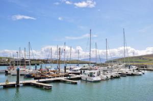 Foto dalla galleria di Hillgrove Guesthouse a Dingle