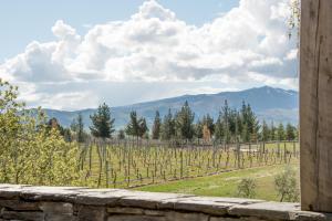 Gallery image of Grey Ridge Vineyard Experience in Alexandra