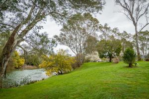 a grassy hill next to a river with trees at BIG4 Breeze Holiday Parks - Eildon in Eildon