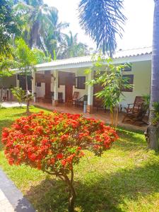 un jardín con flores rojas frente a una casa en Villa 67, en Negombo