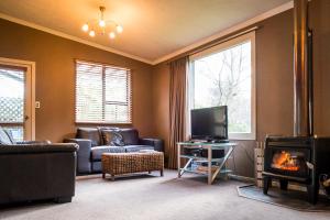 因弗卡吉爾的住宿－Millton Park Estate，带沙发、电视和壁炉的客厅