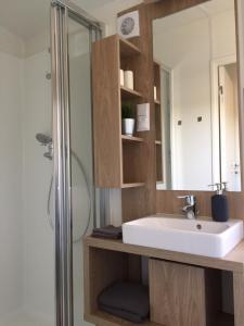 a bathroom with a sink and a mirror at Ferienhaus Leipzig am Schladitzer See in Rackwitz