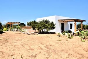 a house in the desert with cacti in front of it at cansantidesmonestir in La Mola