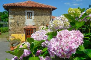a house with pink flowers in front of a building at La AsturXana in Malleza