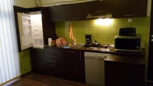 a kitchen with black cabinets and green tile at Laura Studio - Central in Oradea