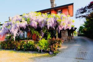 Imagine din galeria proprietății Red Fenice în San Donà di Piave +61 fotografii