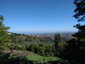 vista dalla cima di una collina con alberi di "CARA PACE" in collina per famiglie a Montefiore Conca