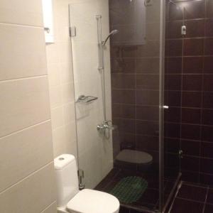 バンスコにあるSki Lift Apartment in Banskoのバスルーム(トイレ、ガラス張りのシャワー付)