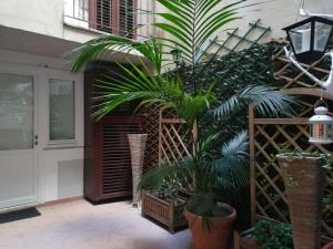 a garden area with plants and a large window at Relais Palazzo Taverna in Rome