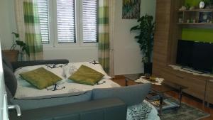 TV a/nebo společenská místnost v ubytování APARTMENT "Patricia"