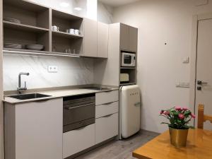 A kitchen or kitchenette at Villa de Plan Apartments&Suites