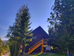 a cabin in the woods with a tree at Pensiunea Padina in Bran