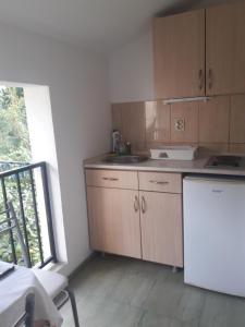 Kuchyň nebo kuchyňský kout v ubytování Apartmani Bugarski