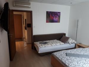 ein Zimmer mit 2 Betten und einem Sofa darin in der Unterkunft Útulný apartmán v Bratislava 6 in Bratislava