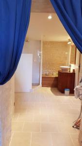 uma casa de banho com um lavatório e uma cortina azul em Au Bellefleur em Sigogne
