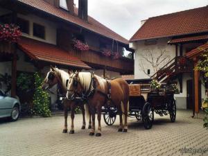 dos caballos tirando de un carruaje delante de un edificio en Appartementhaus "Haflinger Hof", en Bad Füssing