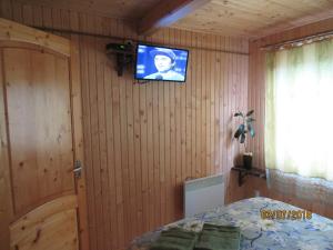 TV a/nebo společenská místnost v ubytování Kotiedzh u Mariny