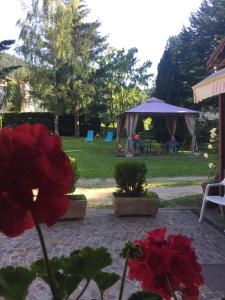 a patio with red flowers and a gazebo at Hotel alle Rose in Cavedago