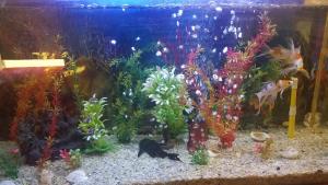 Φωτογραφία από το άλμπουμ του Hotel Red Line στο Ισλαμαμπάντ +17 φωτογραφίες